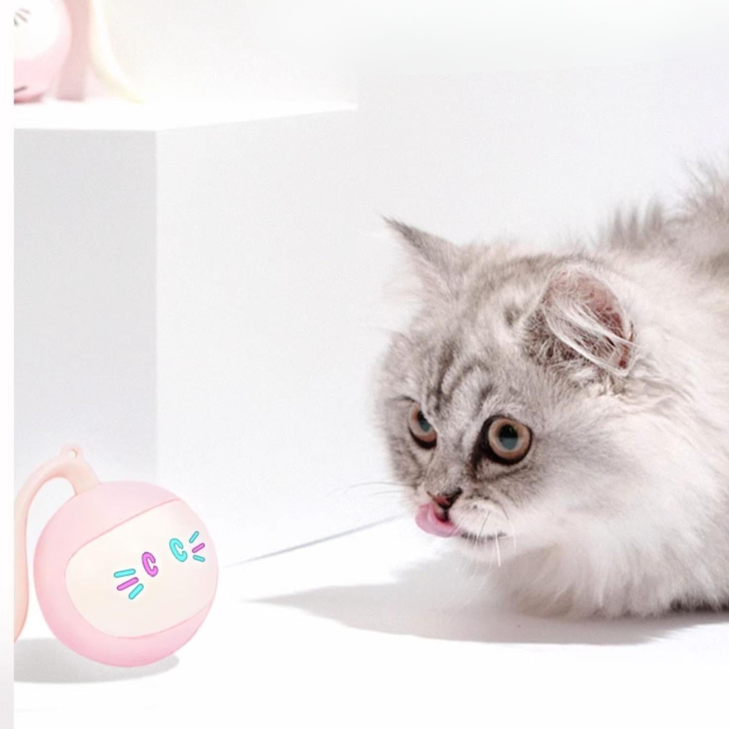 Slimme Plagenbal roze speelbal met kat speelt lichtgevende ogen